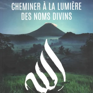 Cheminer à la lumière des Noms Divins