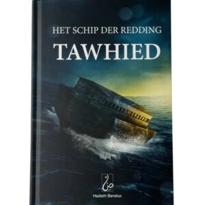 Alternative view of Het Schip der Redding - Tawhied