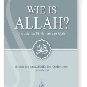 Alternative view of Wie is Allah?